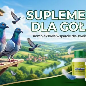 Suplementy